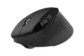 Maus - Acer Smart Fit - mouse - vertical - 2.4 GHz Bluetooth 5.0 - black - Maus (Schwarz) - HP.EXPBG.020