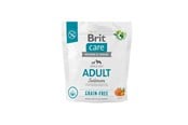 Hunde - Brit Care Dog Grain-free Adult Salmon 1kg - 8595602558858