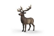Schleich - Schleich Elch - 14992