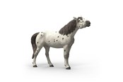 Schleich - Schleich Knabstrupper Wallach - 14916
