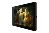 Digitizer / Grafiktablets - Huion Kamvas Pro 13 - GT133