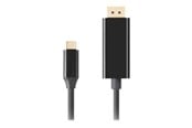 Display Kabel - Lanberg - USB-C / DisplayPort adapter - USB-C to DisplayPort - 3 m - CA-CMDP-10CU-0030-BK