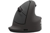Maus - Fellowes Ergonomic Mouse Small Right - Maus (Schwarz) - 100143580