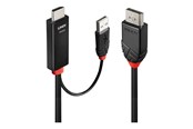 Display Kabel - Lindy adapter cable - 1 m - 41498
