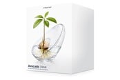 Einrichtung - Mikamax Avocado Vase - 05198
