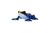 Figuren - Mojo Wildlife Poison Dart Frog Blue - 381069