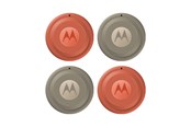 Handys - Anderes Zubehör - Motorola moto tag 2 - PANTONE Arabesque (2x) + PANTONE Laurel Oak (2x) - PG38C08028