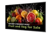 Digital Signage & Hotel - Philips 50BDL5050D 5000 Series - 50" Class (49.5" viewable) LED-backlit LCD display - 4K - for digital signage - 50BDL5050D/00