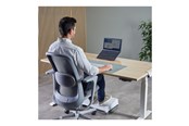 Systemzubehör - Fellowes Alumia - notebook stand - portable - 100138868