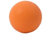 Sport & Fitness - TITAN LIFE Lacross Ball - 610-000473