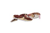 Plush - Wild Republic Plush Toy Snakes 137 cm Blunt Headed Imantodes Cenchoa - 28409
