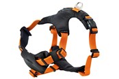 Hunde - Dogman Emmi - 213704