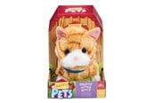 Dolls & Accessories - Happy Pets Pretty Little Kitty – Ginger kitten - 602522