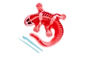Spiele im Freien - Simba Scout Dissect-It Salamander - 109452704
