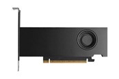 Grafikkarte - Dell RTX PRO 2000 Blackwell Workstation Edition - 16GB GDDR7 RAM - Grafikkarte - DELL-0HX7F