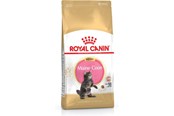 Katzen - Royal Canin Maine Coon Kitten- dry cat food - 4 kg - 3182550770958