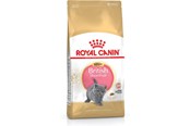 Katzen - Royal Canin British Shorthair Kitten cats dry food - 3182550816533