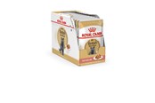 Katzen - Royal Canin British Shorthair packet 12x85g - 9003579001240