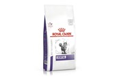 Katzen - Royal Canin Dental - dry cat food - 1,5kg - 3182550722308