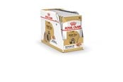 Hunde - Royal Canin Shih Tzu Adult Wet dog food Pâté 12x85 g - 9003579013694