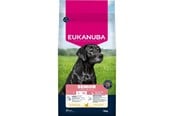 Hunde - Eukanuba Senior Large and extra large breeds Chicken - dry dog food - 15kg - 8710255202211