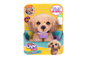 Spielsets - Little Live Pets My Really Real Daxie Puppy - 26805