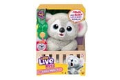 Spielsets - Little Live Pets MY BABY KOALA - 26840