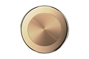Handys - Anderes Zubehör - PopSockets PopGrip for MagSafe - Gold - 807259