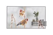 Digital Signage & Hotel - LG 55EW5P-M 55" OLED display - Full HD - for digital signage - 55EW5P-M