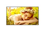Digital Signage & Hotel - LG 43UL5Q-E Signage Display - 43UL5Q-E