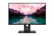 Bildschirm - 24" Lenovo ThinkVision T24-40 - 64A4MAT1SE