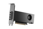 Grafikkarte - PNY RTX PRO 2000 Blackwell Small Box - 16GB GDDR7 RAM - Grafikkarte - VCNRTXPRO2000-SB
