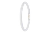 LED-Birnen - Osram LED-Lampe LEDVANCE LED-rør T5 Performance FC external 22mm 1 2GX13 - 4099854300806