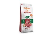 Hunde - Calibra Life Senior Large Fresh Beef - dry dog food - 12kg - 8595706701273