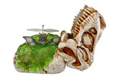 Figuren - GrossMos Flying dino assorted - 521549