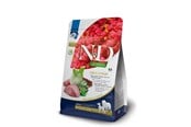 Hunde - Farmina N&D Quinoa Digestion Adult Medium Maxi Lamb dry dog food - 7 kg. - 8010276041920