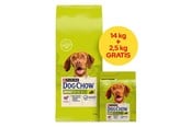 Hunde - PURINA NESTLE Dog Chow Adult Lamb - dry dog food - 14 + 2.5kg - 8445291654679