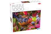 Puzzle - Tactic 1000 pcs puzzle: Robin in the Autumn Leaves - 60473