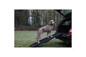 Hunde - Nobby Hunderampe 152 x 40 cm - L76325