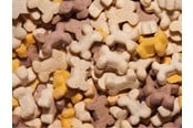 Hunde - StarSnack Cookies Puppy Karton - 10 kg - L69907