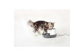 Katzen - Nobby Drikke fontæne Cascade 1.5 L - L72144