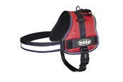 Hunde - Nobby Sele SEGURO Rød - M - L80581-01