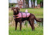 Hunde - Nobby Redningsvest Sharki Pink XS - L61036
