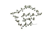 Einrichtung - Bloomingville Cedar - 82072373