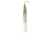 Einrichtung - Bloomingville Tilandsia - 82061497