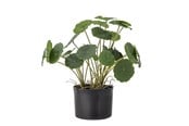 Einrichtung - Bloomingville Copper - 82061504
