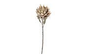 Einrichtung - Bloomingville Protea - 82061468