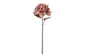 Einrichtung - Bloomingville Hydrangea - 82061475