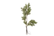 Einrichtung - Bloomingville Pine - 82072352