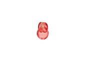 Parfüm und Düfte - Bvlgari Omnia Coral Eau de toilette - 100 ml0 - 783320425493